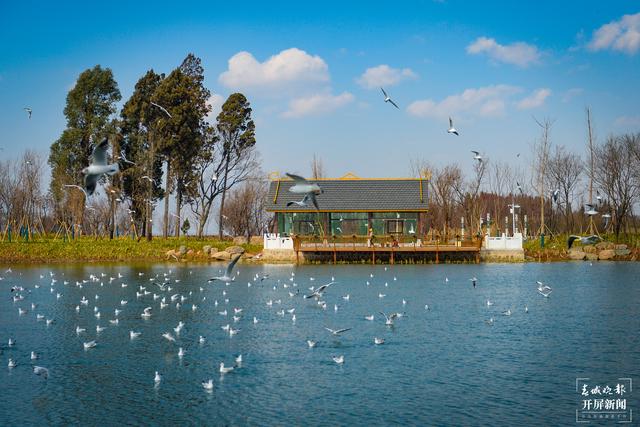 202202281055351V9M0T