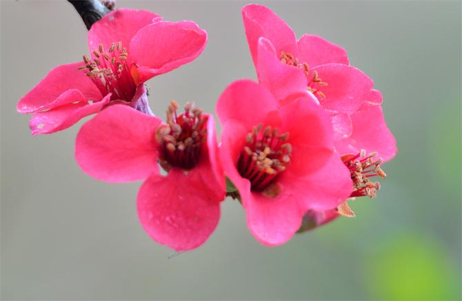 DSC_5911副本 DSC_5911副本