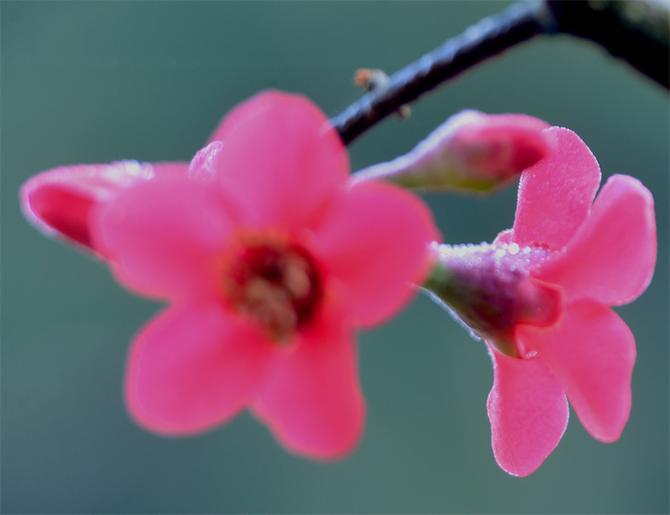 DSC_5913副本 DSC_5913副本