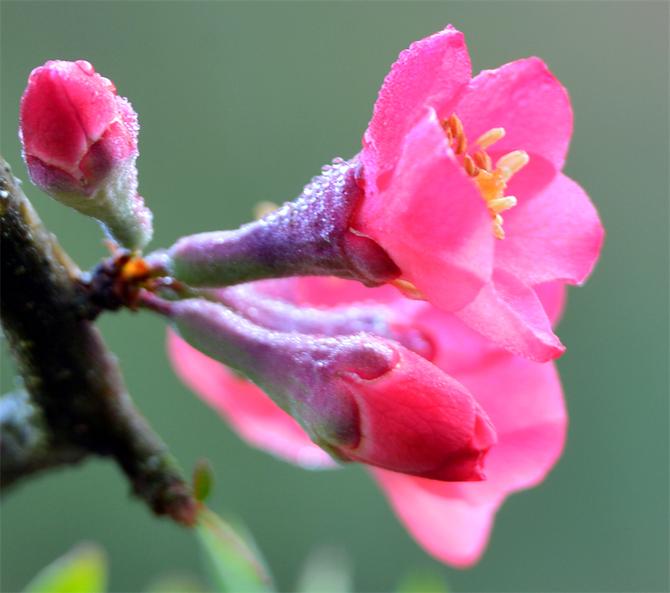 DSC_5914副本 DSC_5914副本