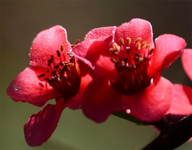 DSC_5916副本 DSC_5916副本