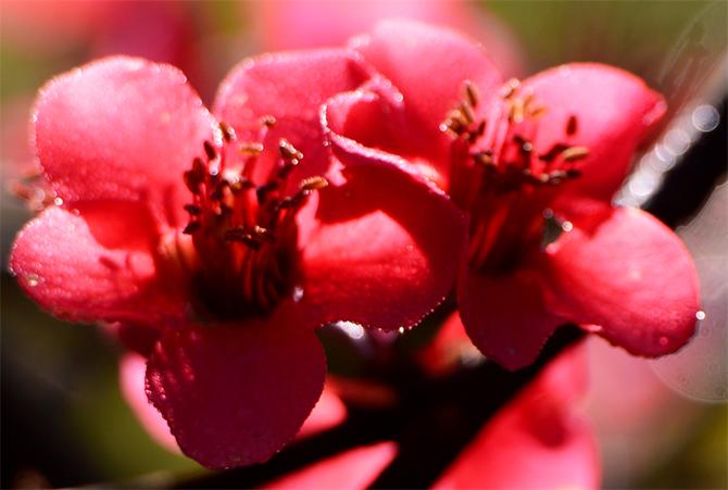 DSC_5918副本 DSC_5918副本