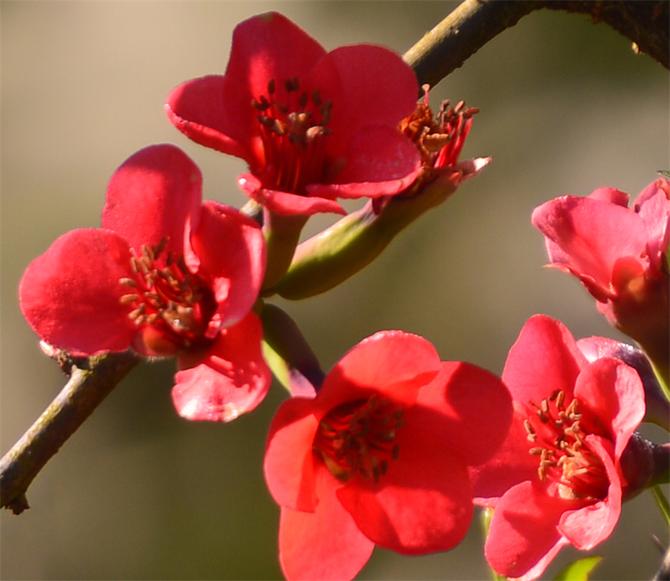 DSC_5944副本 DSC_5944副本