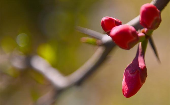 DSC_5962副本 DSC_5962副本