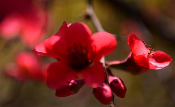 DSC_5963副本 DSC_5963副本