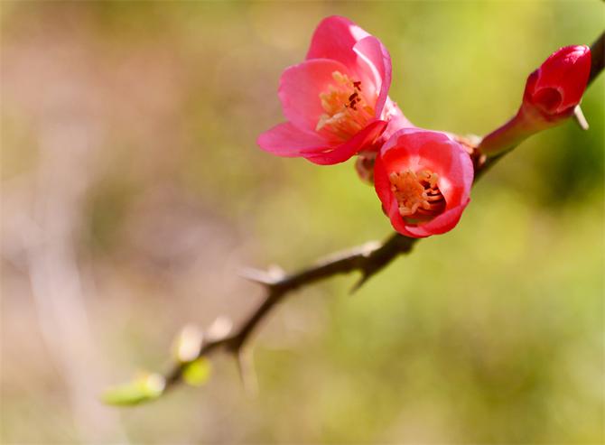 DSC_5977副本 DSC_5977副本