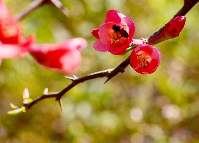 DSC_5981副本 DSC_5981副本