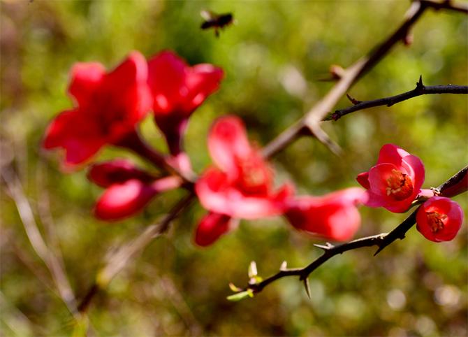 DSC_5987副本 DSC_5987副本