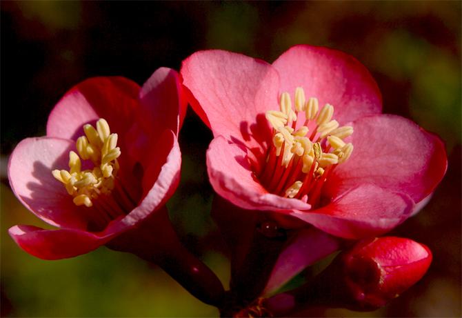 DSC_5999副本 DSC_5999副本