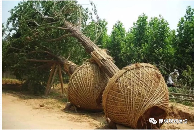 期待！翠湖八景之一“經(jīng)正書(shū)院”原始風(fēng)貌即將恢復(fù)