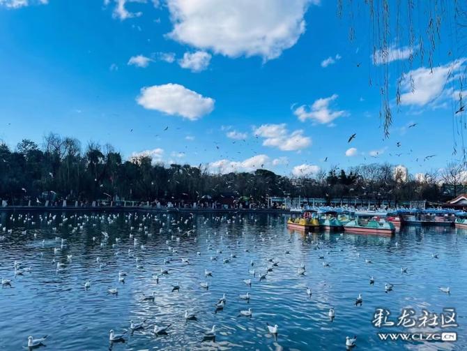 16460225415401452807245560408_197148