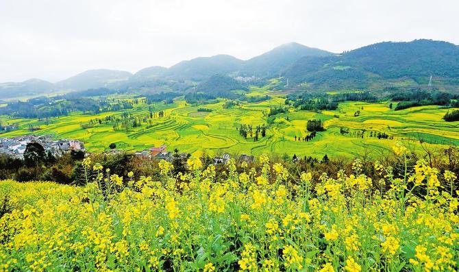 0b9fbc74-0efb-4be0-8eea-df22bb85f8cd