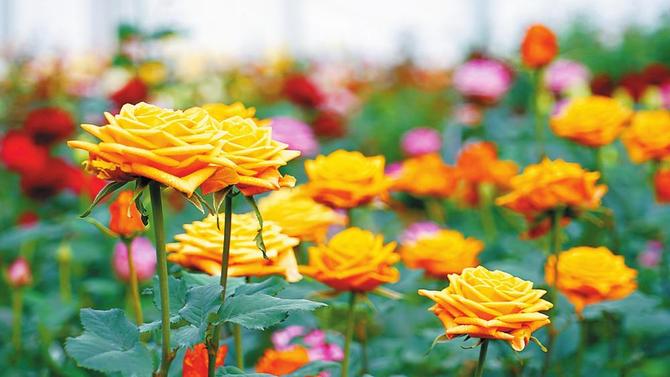 09ff4fa6-13bb-4d37-9824-501006e2ced7