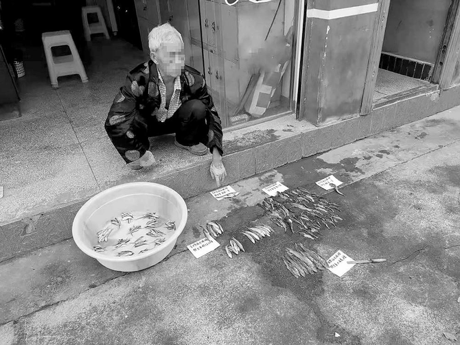 E6_HK5Z049KYZMQETU53TVT