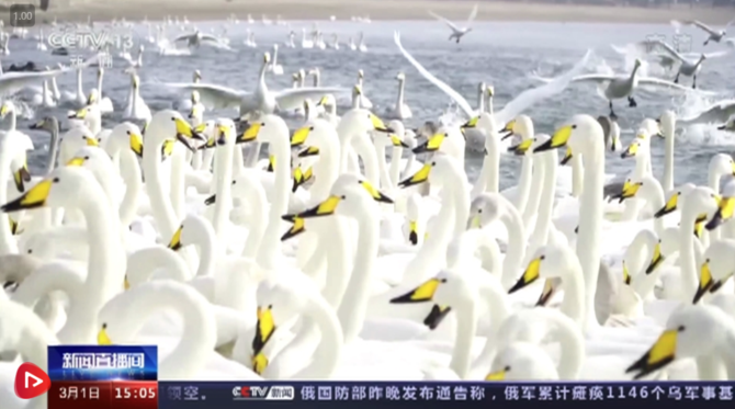 QQ截圖20220302103851