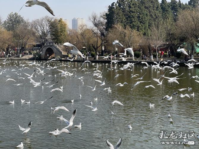 16456070094663055261049265358_349411 16456070094663055261049265358_349411