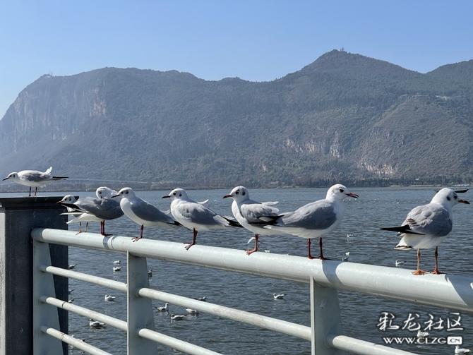 16453622438164583001826045837_349411 16453622438164583001826045837_349411