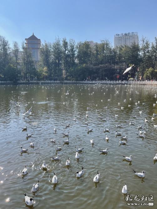 16461031584934854343655283280_349411 16461031584934854343655283280_349411