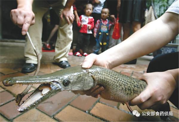 1584784150467522.png 圖片