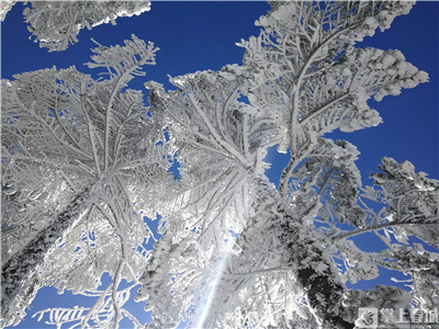 微信圖片_20220302231112 微信圖片_20220302231112