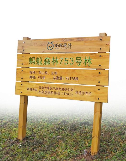 99ea6a2f-2771-4ffc-ba42-b84246bab563 99ea6a2f-2771-4ffc-ba42-b84246bab563