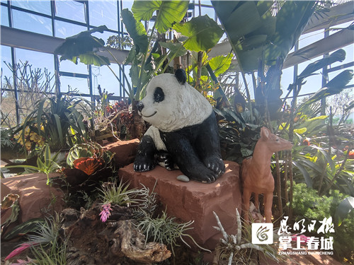 ayQ6QECtT5 ayQ6QECtT5