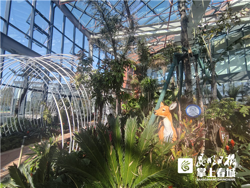 dGP6nEFPH4 dGP6nEFPH4