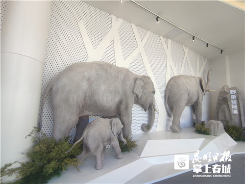 Hd2EQEQJRB Hd2EQEQJRB