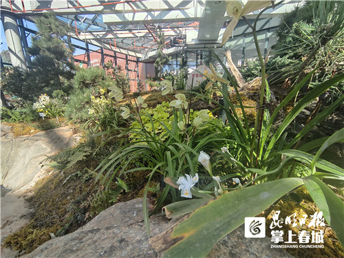 pE4bHyzitn pE4bHyzitn