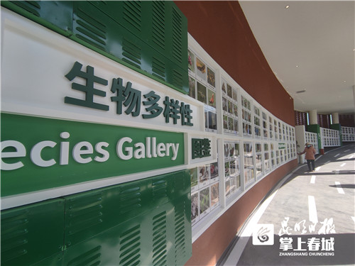 RsXcGwc4yi RsXcGwc4yi