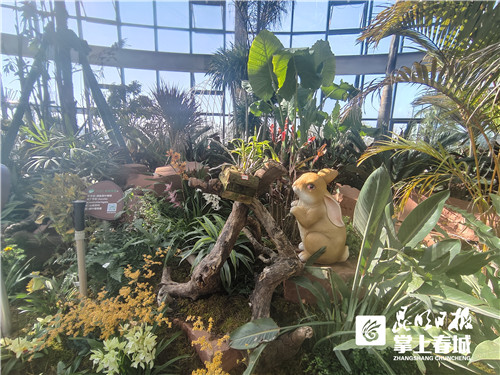 tczFQychkT tczFQychkT