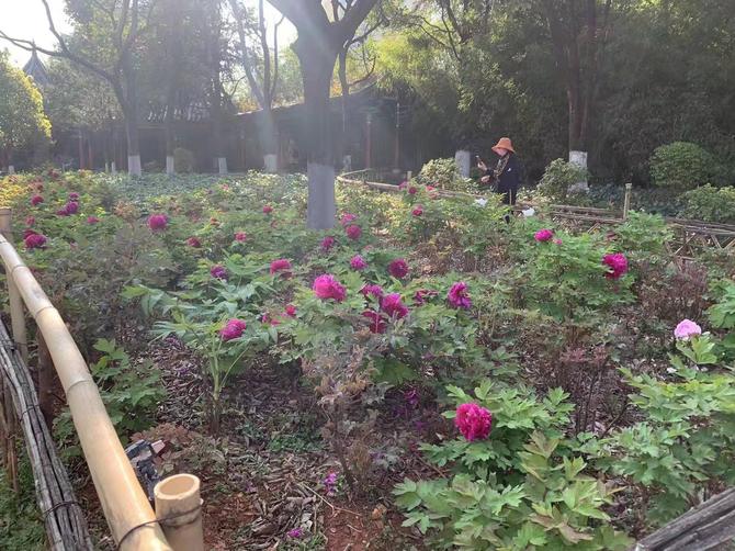 微信圖片_20220307102034