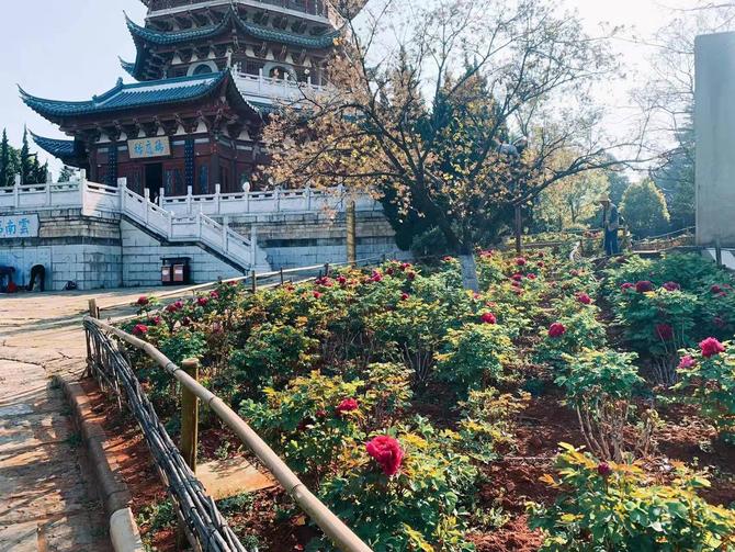 微信圖片_20220307102029