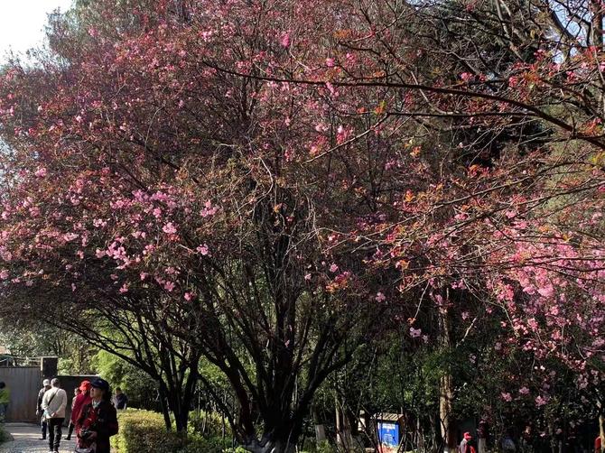 微信圖片_20220307102039