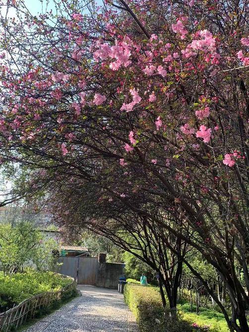 微信圖片_20220307102023