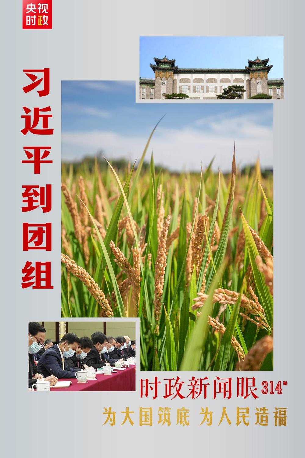 20220307013602584 20220307013602584