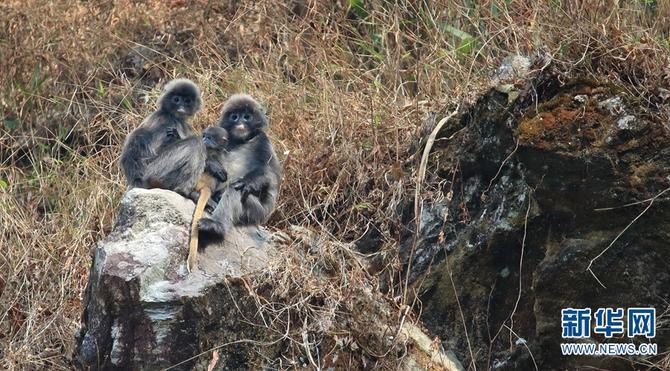 1310501783_16465286164351n 1310501783_16465286164351n