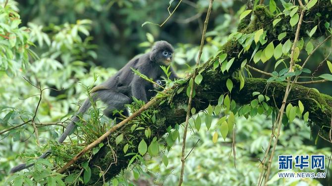 1310501783_16465286165281n 1310501783_16465286165281n