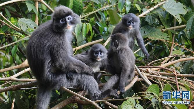 1310501783_16465286165881n 1310501783_16465286165881n