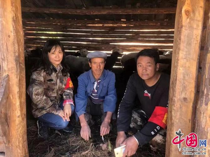 4d807ab5-781c-4228-a4e7-71c85a39bf2b7