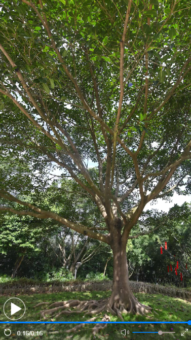 WeChat 截圖_20220312174322 WeChat 截圖_20220312174322