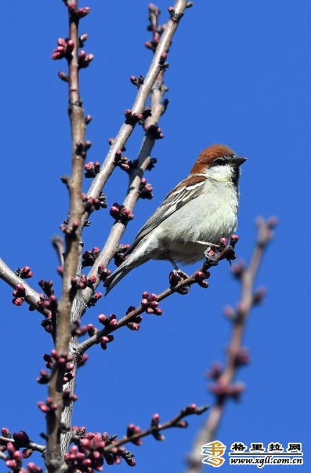 7c6d0faa-bc4c-49ee-bf34-7009c69ad418_batchwm