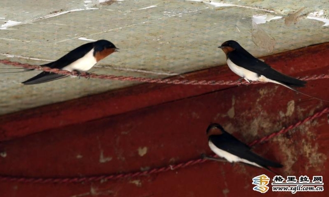 940e7ecb-9780-46f0-8011-5d4ea199d6da_batchwm