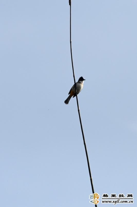 2d2c72cb-95d6-4b99-9b53-c191032d4780_batchwm