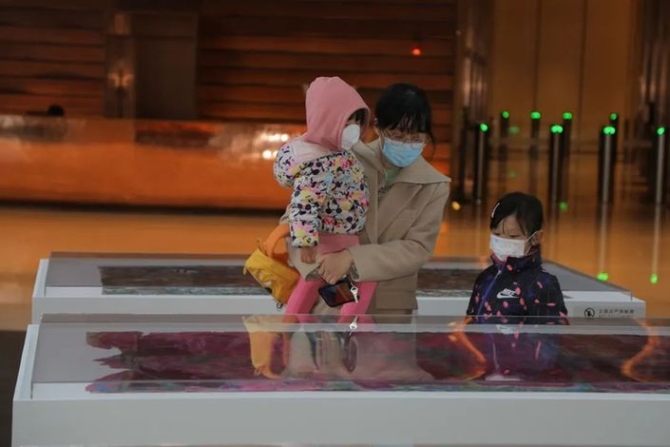 《二十四節(jié)氣 七十二候》展覽啟幕