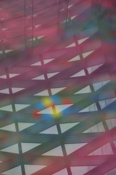 《二十四節(jié)氣 七十二候》展覽啟幕