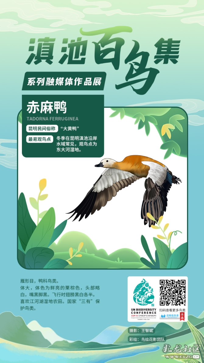 gtouha73ch5 gtouha73ch5