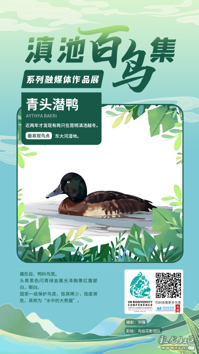 sqh9211sgaa sqh9211sgaa