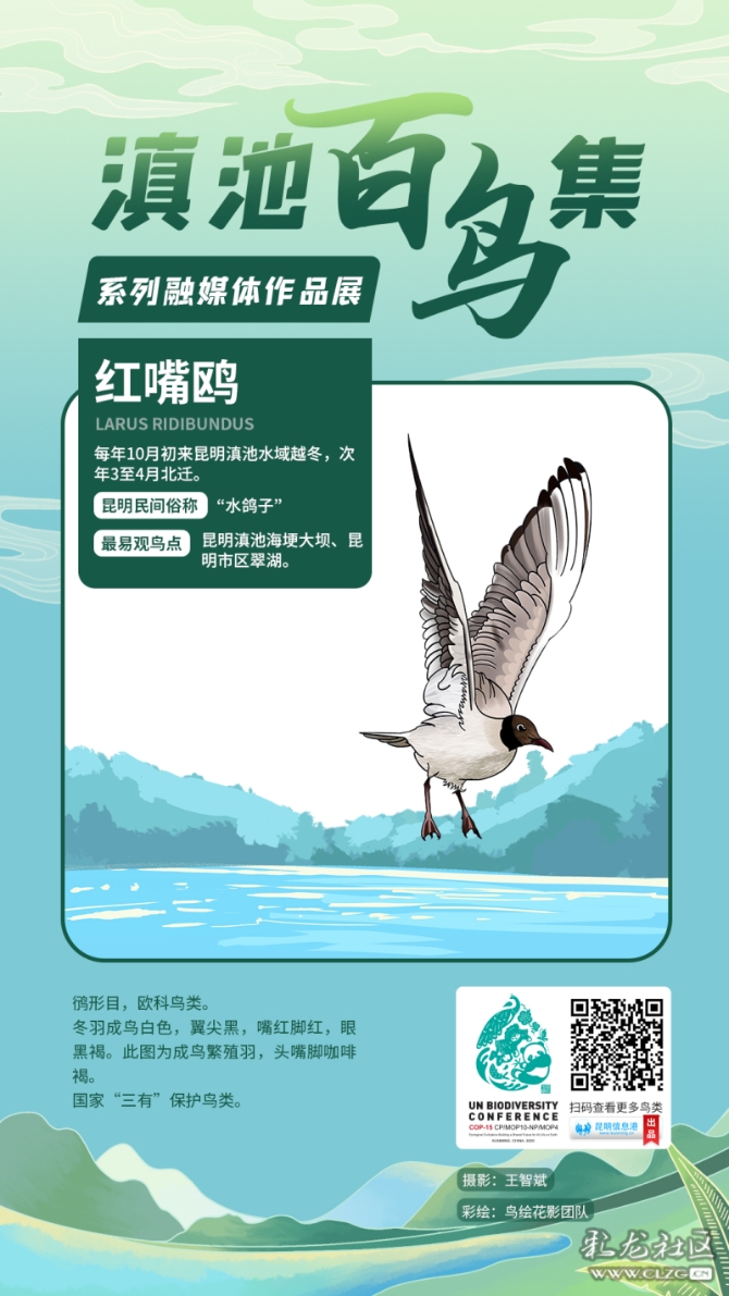 wkts72b16jh wkts72b16jh