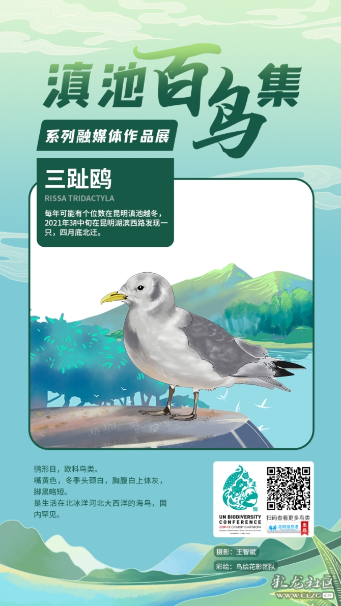 g29ocb9y9ci g29ocb9y9ci